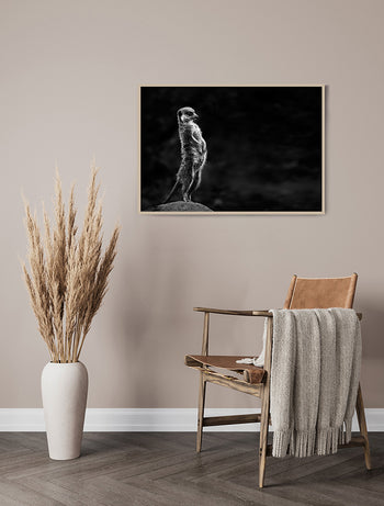 Poster - Cavalier