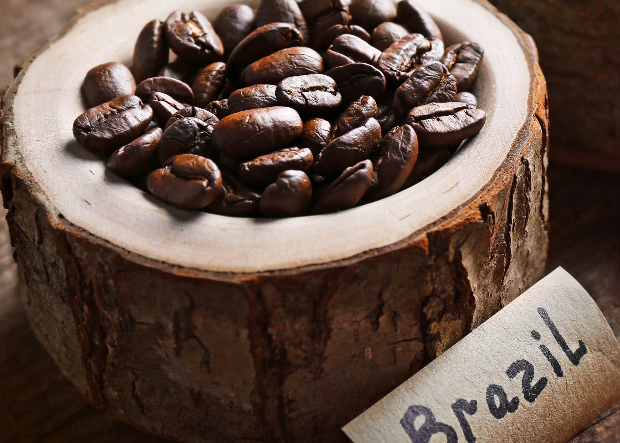 Canvastavla - Bean Origins