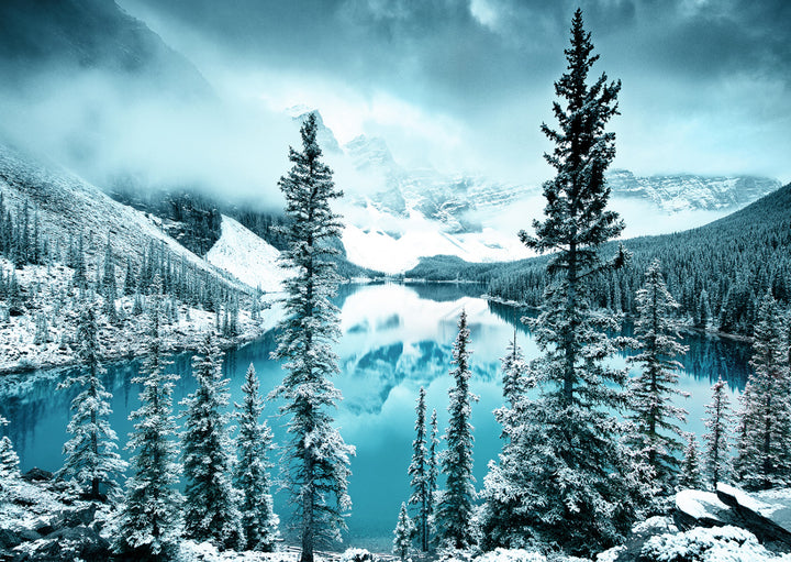 Juliste - Alps
