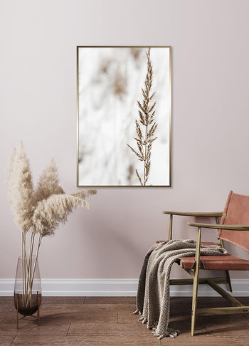 Poster - Grass seed
