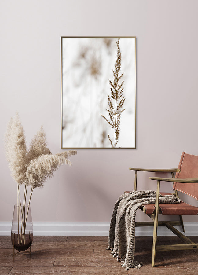 Poster - Grass seed