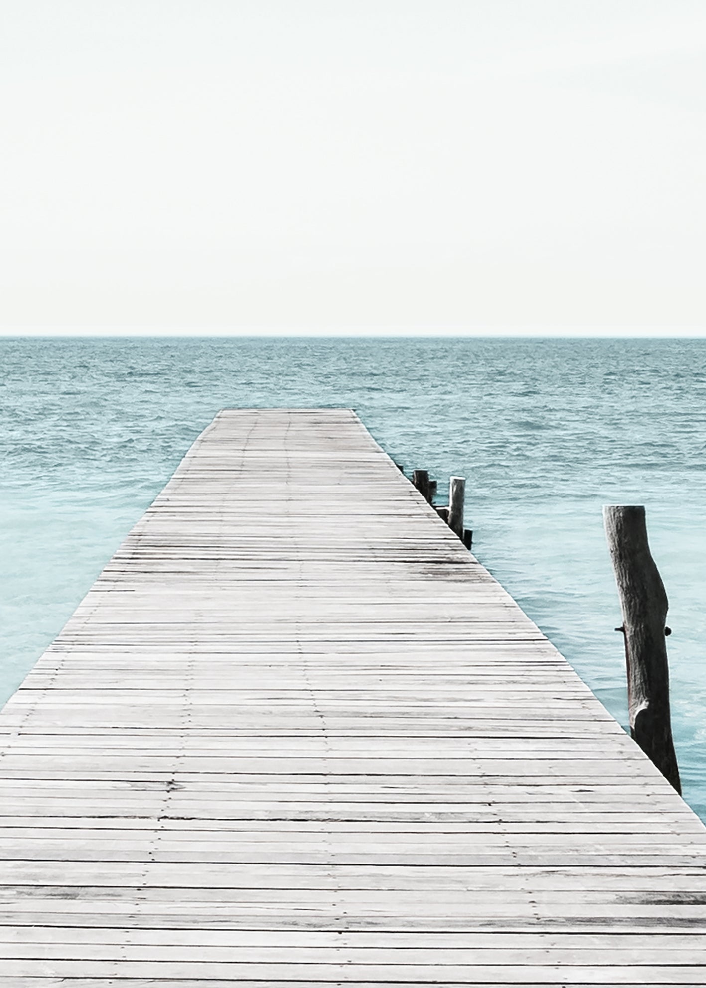 Canvastavla - Tropical Sea