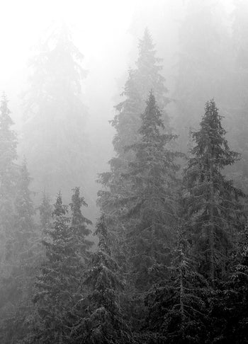 Poster - Nature
