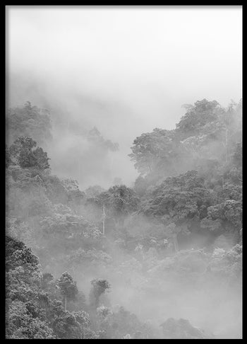 Poster - Fog