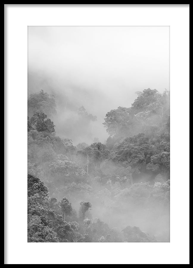 Poster - Fog