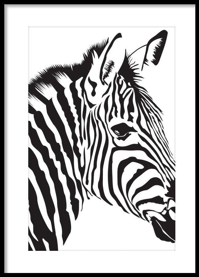 Poster - Zebra