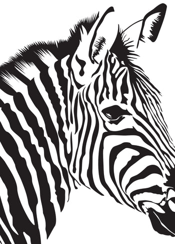 Poster - Zebra