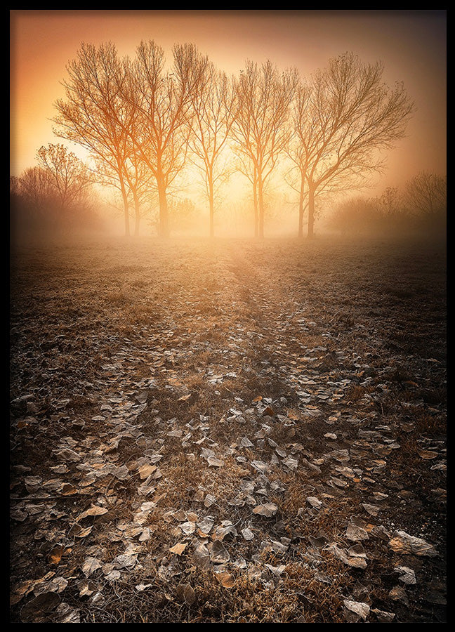 Poster - Chilli Mornings