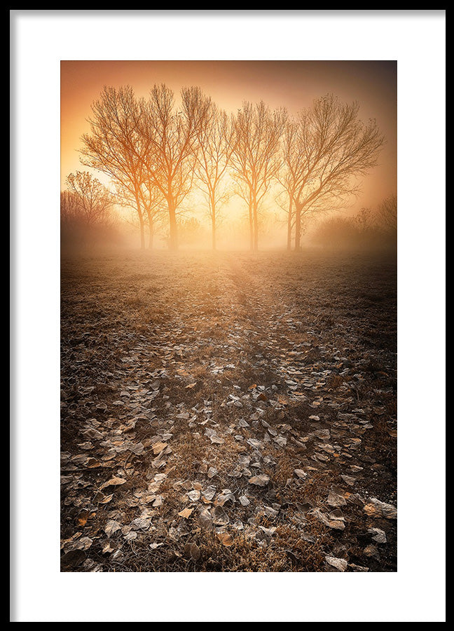 Poster - Chilli Mornings