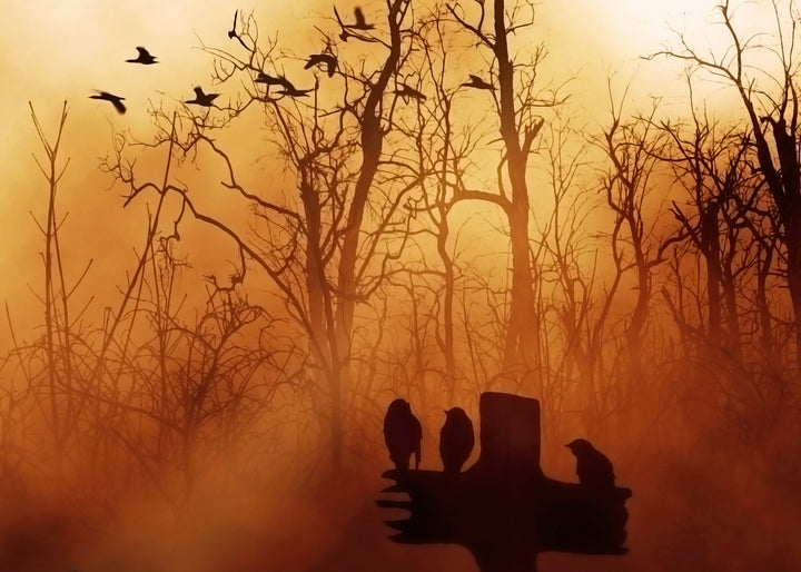Canvastavla - Mystic Cemetery