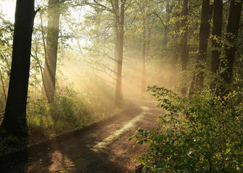 Canvastavla - Nature’s Stillness