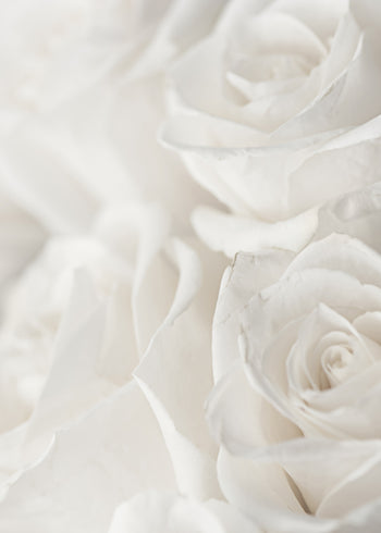 Canvastavla - Charming Roses