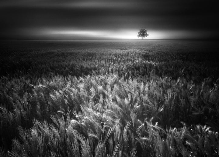 Canvastavla - Bucolic Sunrises