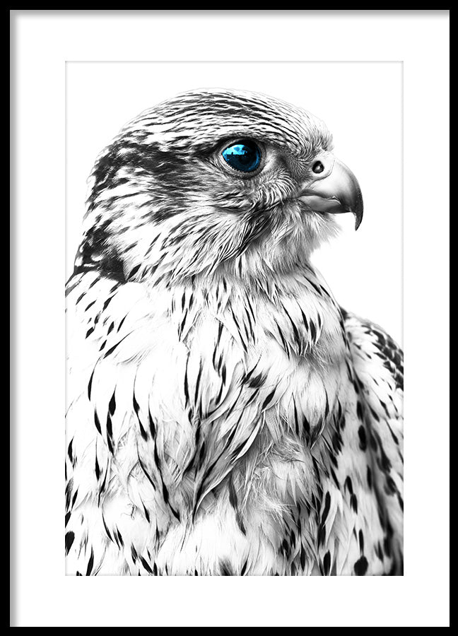 Poster - Silver Eagle