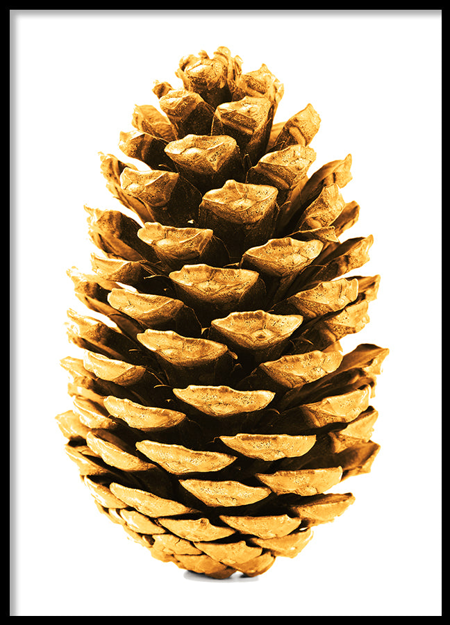 Poster - Cone
