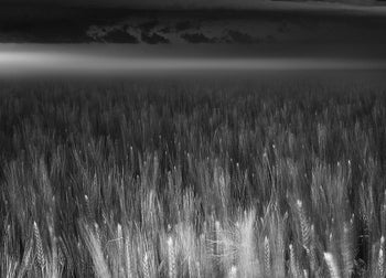 Canvastavla - Between Earth & Sky