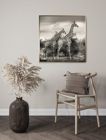 Poster - Namibia