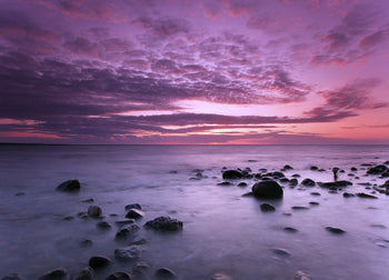 Canvastavla - Violet Sea