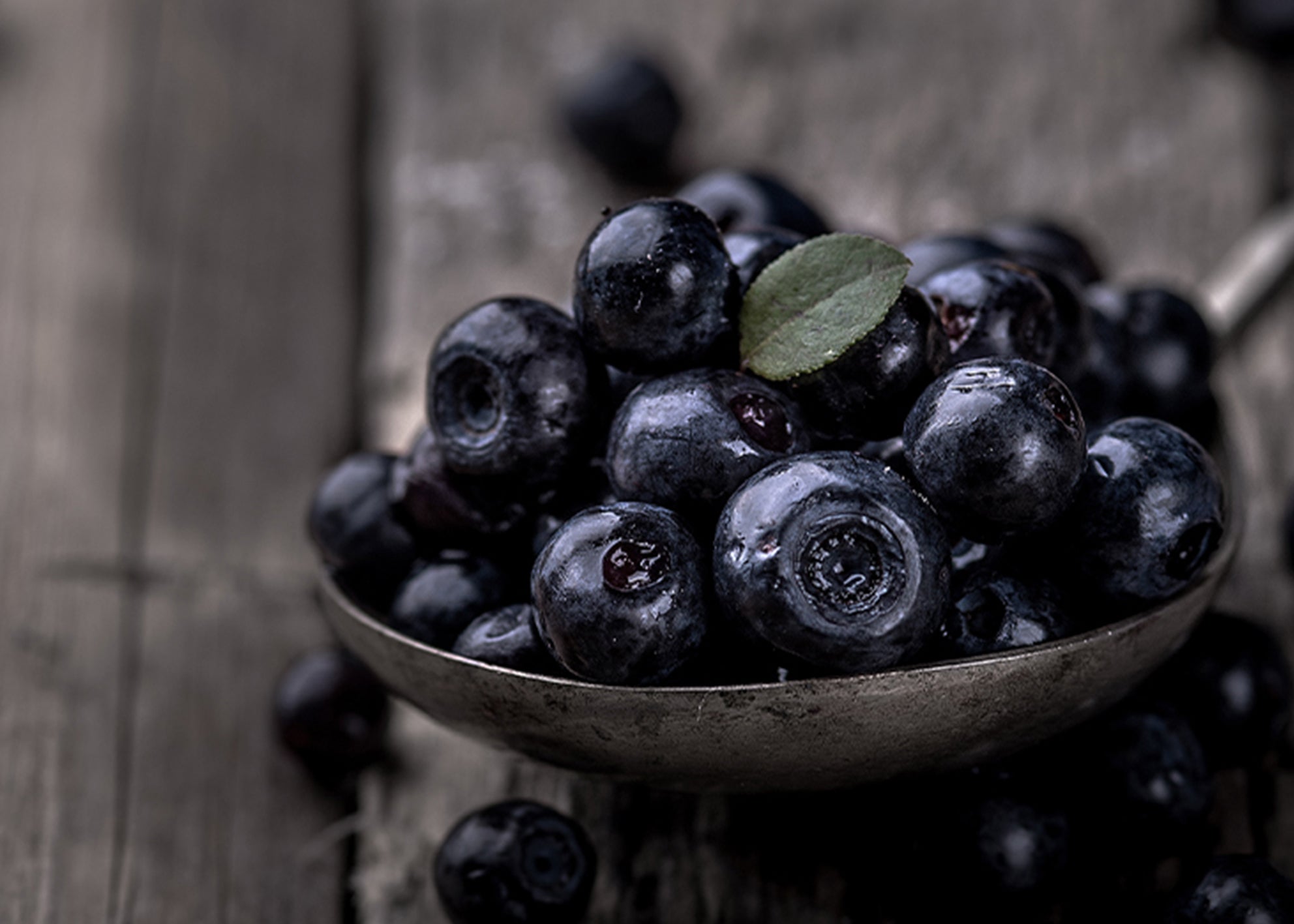 Canvastavla - Blueberries