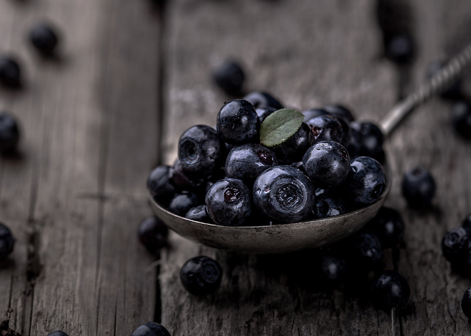 Canvastavla - Blueberries