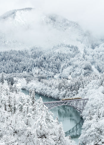 Canvastavla - Train in Winter