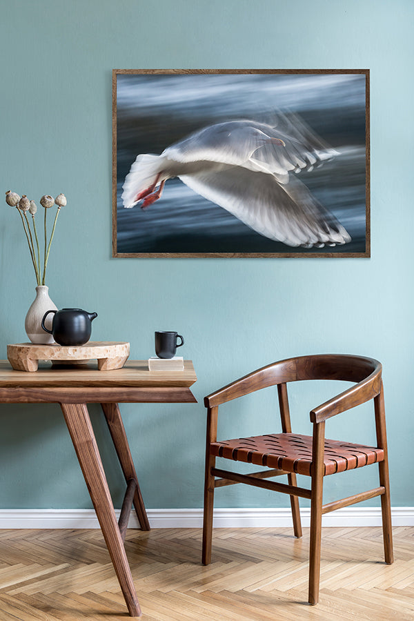 Poster - Seagull