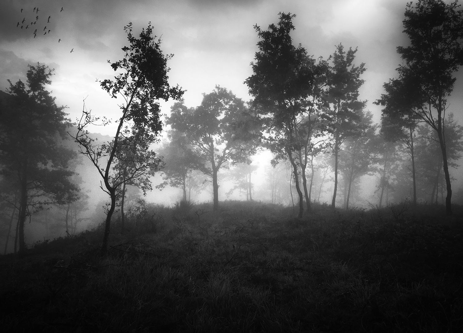 Canvastavla - Ethereal Moody Moments
