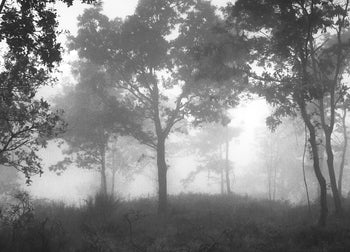 Canvastavla - Ethereal Moody Moments
