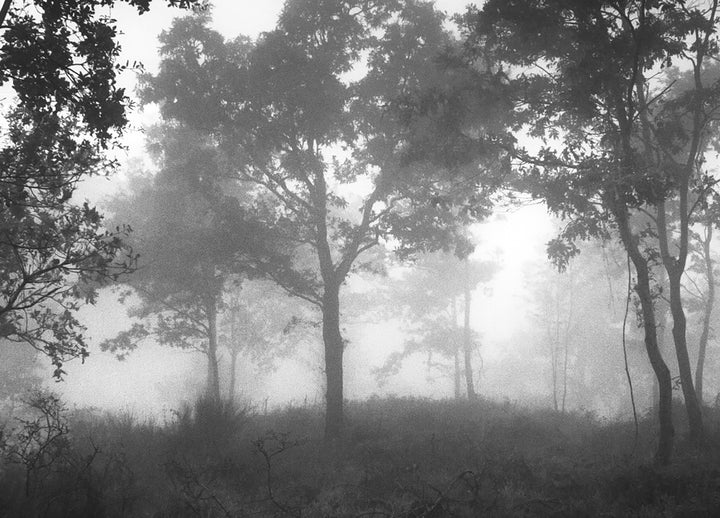 Canvastavla - Ethereal Moody Moments