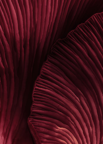Canvastavla - Viva Magenta