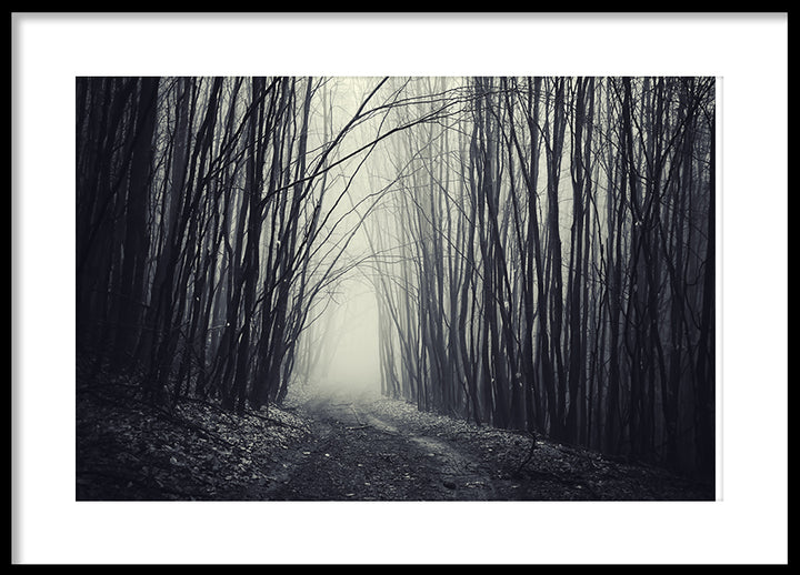 Poster - Forest