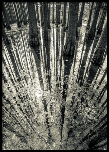 Poster - Synchronicity