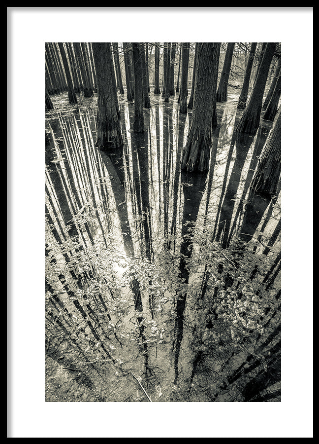 Poster - Synchronicity