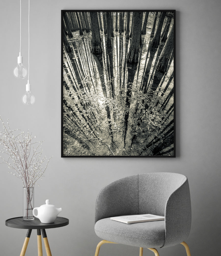 Poster - Synchronicity