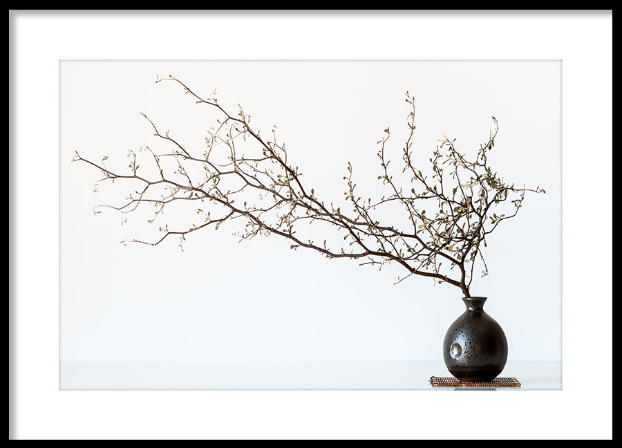 Poster - Branch