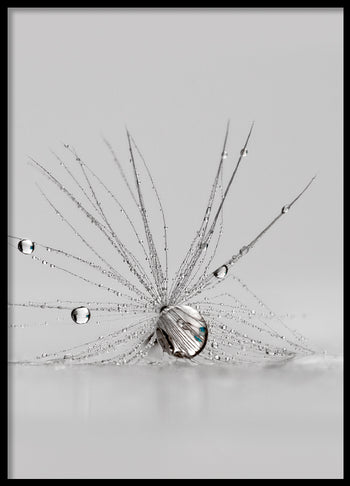 Poster - Spider