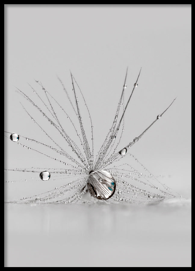 Poster - Spider