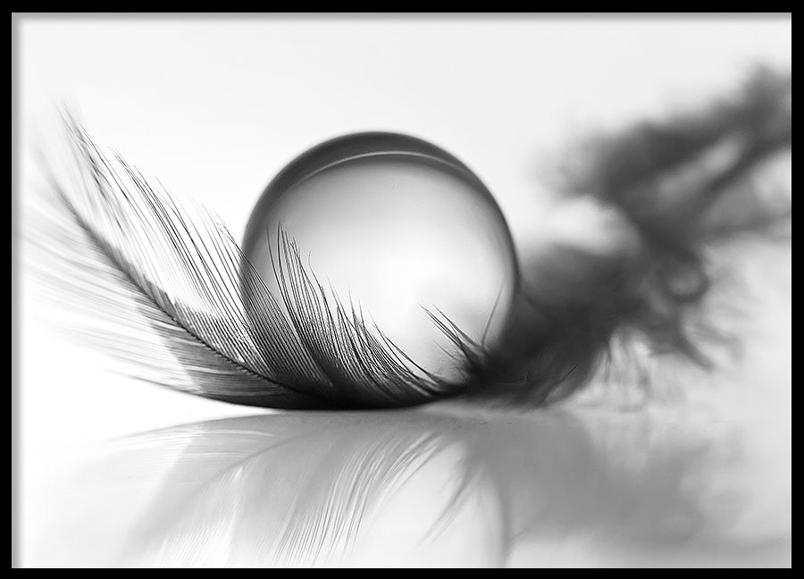 Poster - Silver