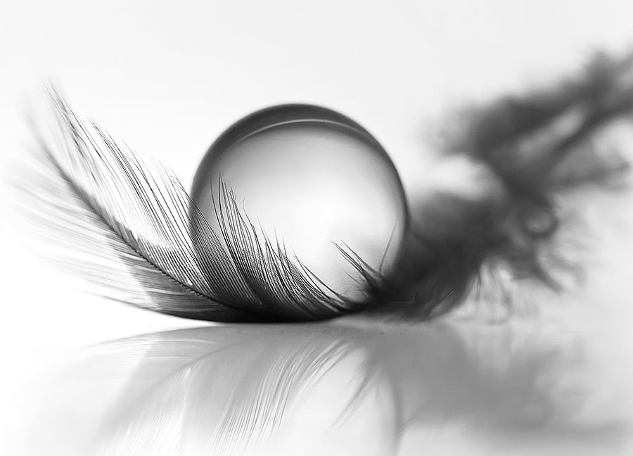 Poster - Silver