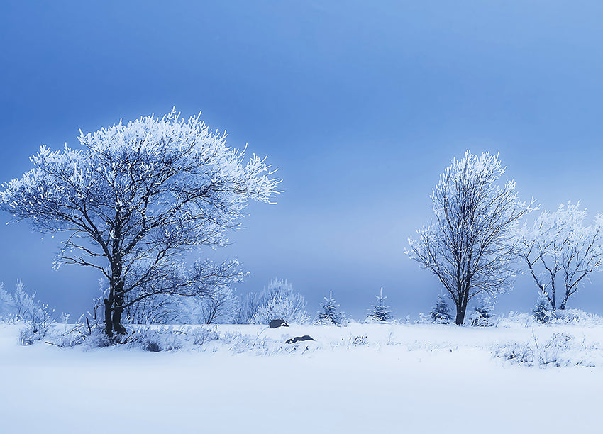 Canvastavla - Winterland