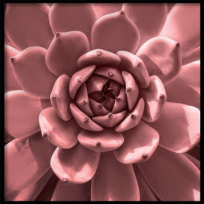 Poster - Aloe Pink