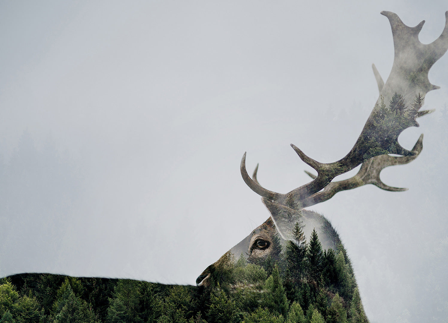 Canvastavla - Antler
