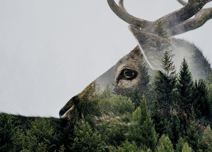 Canvastavla - Antler