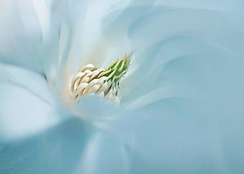 Tavla - Light blue