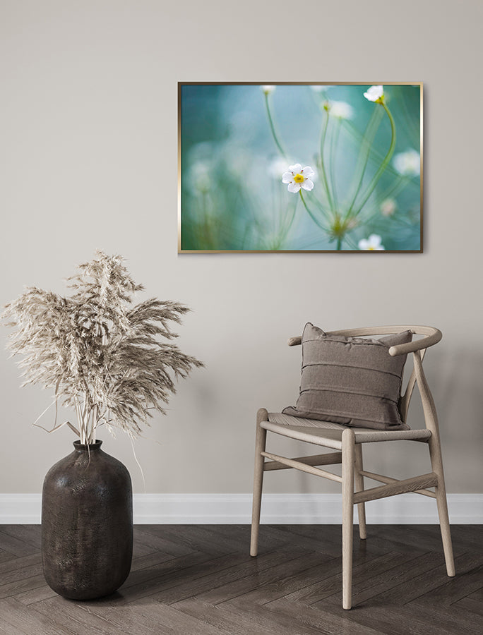 Poster - Oxeye