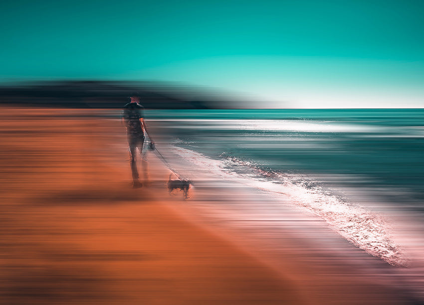 Canvastavla - Doggy Promenade