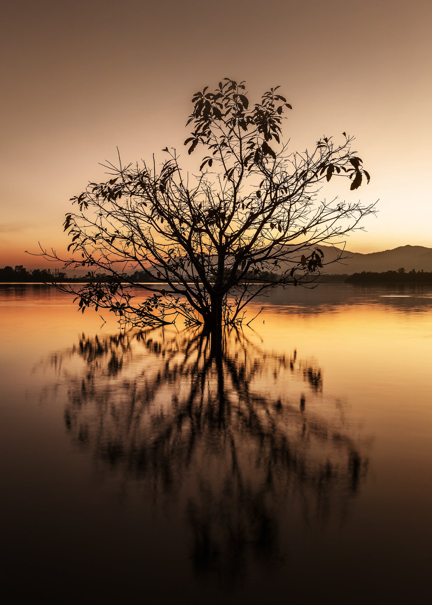 Canvastavla - Tree Reflection
