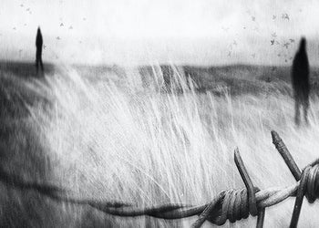 Canvastavla - Barbed Wire