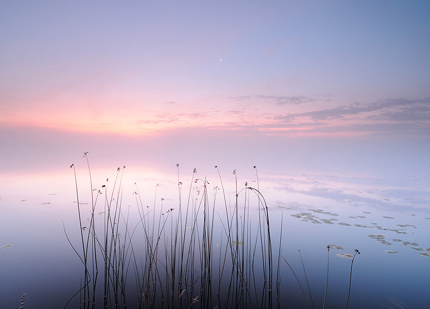 Canvastavla - Lake
