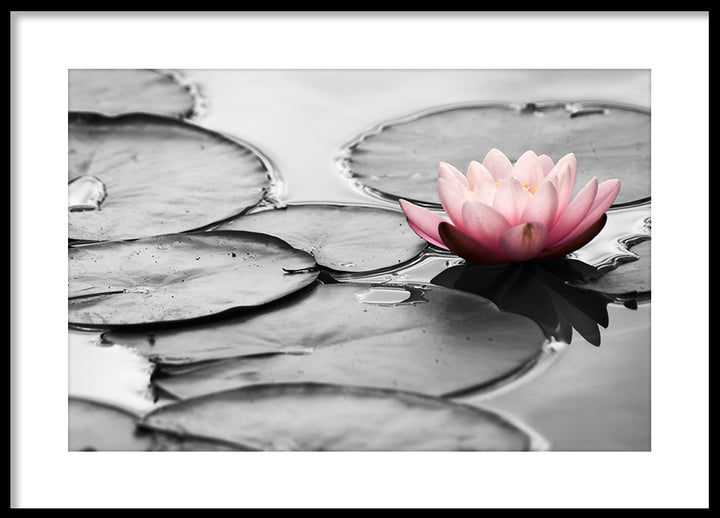 Poster - Flor